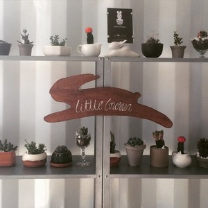 Cute cactus collection