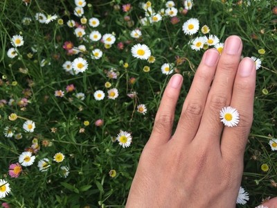 White Daisy flower and hand