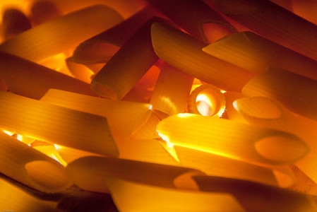 Illuminated noodles