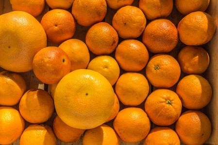 fresh oranges    grapefruits