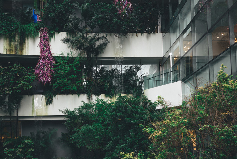 Organic Architecture