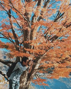 Autumn Color  Japan