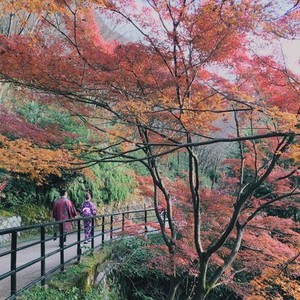 Autumn Color  Kyoto