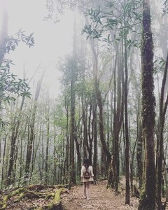 Standing in a forest