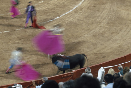 Bullfights and a Fire 05