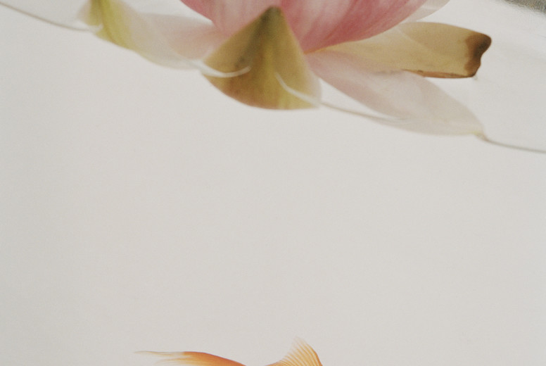 Mixed Travels II #35