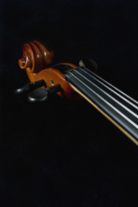 Classical Instruments 05