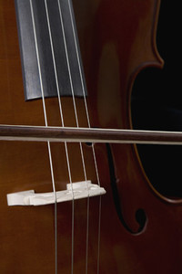 Classical Instruments 25