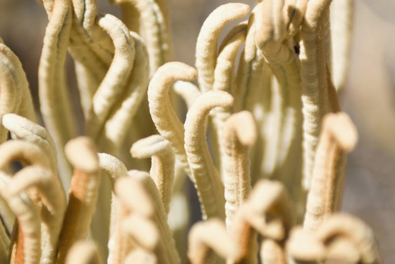 Animals are Cute #03