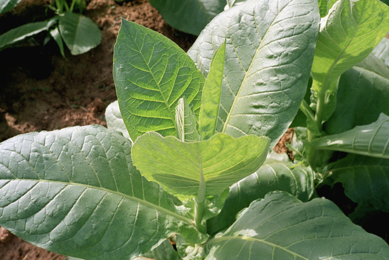 Waiting Rooms and Vistas #03