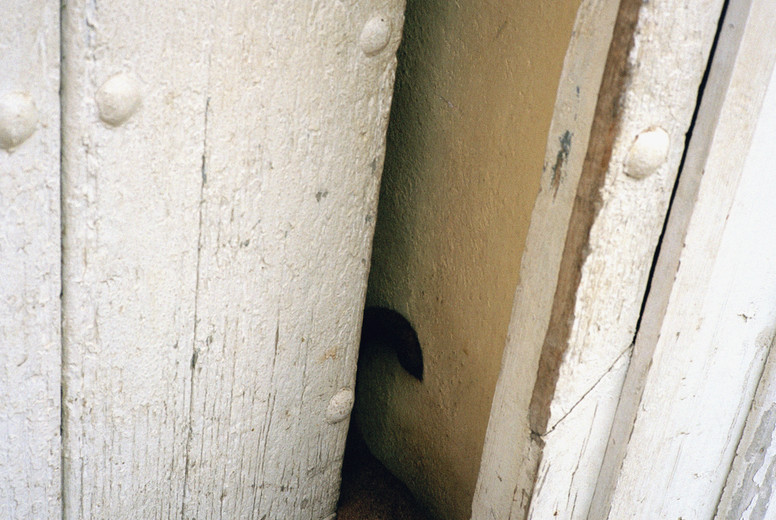 Waiting Rooms and Vistas #07