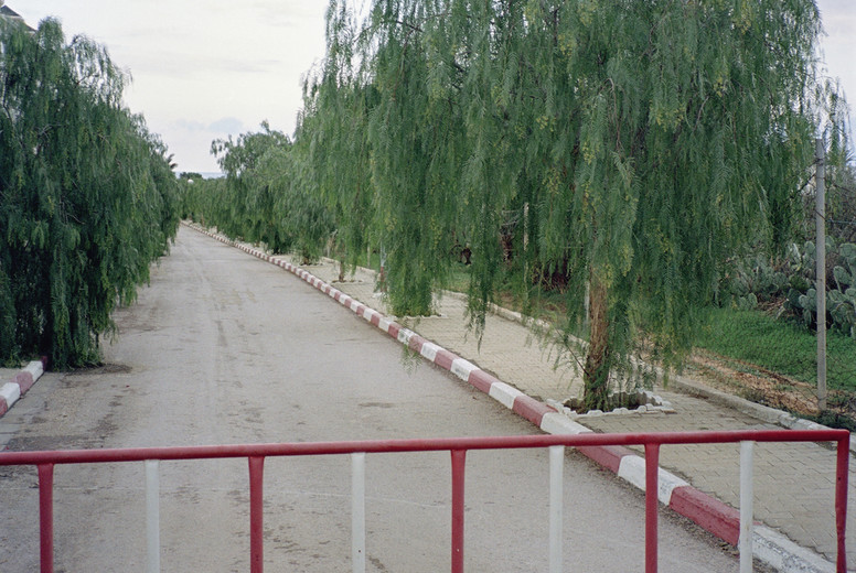 Waiting Rooms and Vistas #35