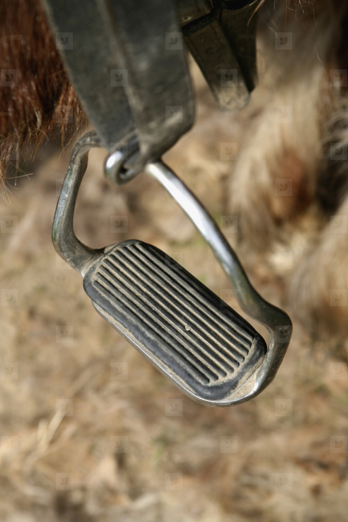 Waiting Rooms and Vistas 46