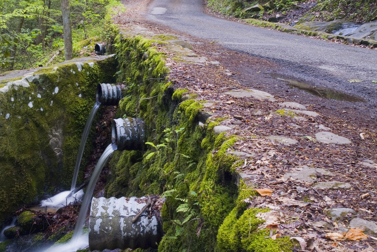 Beyond the Stalls #69