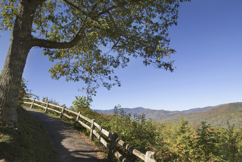 Beyond the Stalls #72