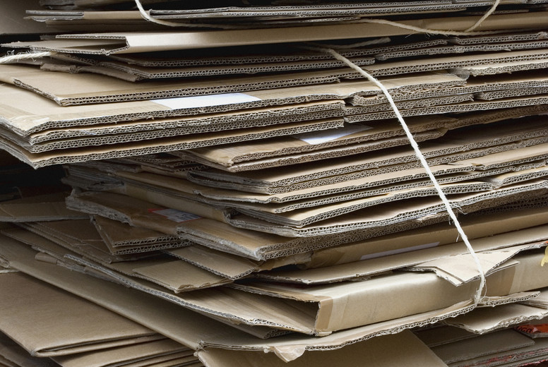 Peeking out from the Hedge #06