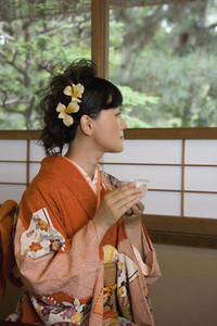 Japanese Kimonos 19