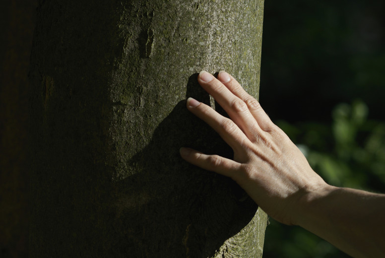 Lakeside Romance #05