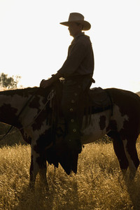 Cowboy Roundup 48