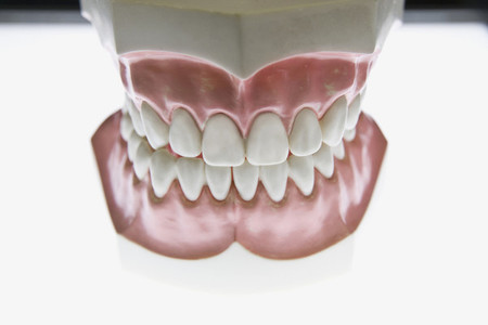 Dentistry 48