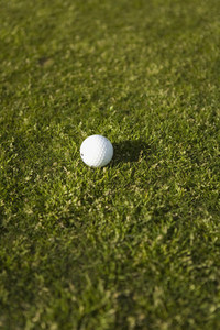 Golf Game 07