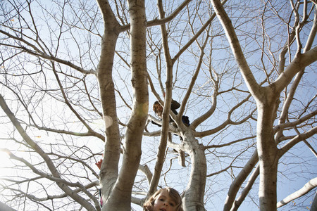 Climbing Trees 02