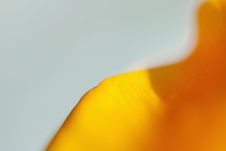 Abstract Effects #27