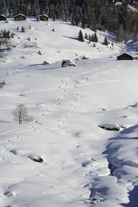 Snowy Mountain Trails 35