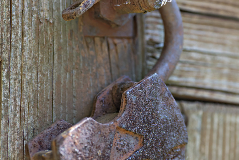 Life in Portraits #36