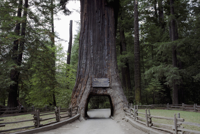 Solitary Refinement #02