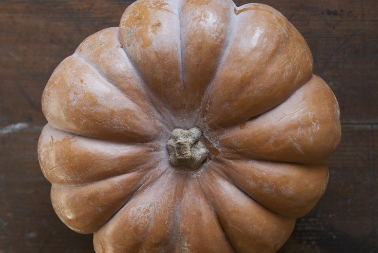 Fresh Food Rustic Remix #97