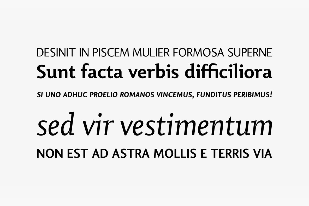 Vekta Neo Vekta Neo