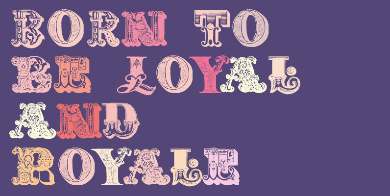 Decadence Avec Elegance Family