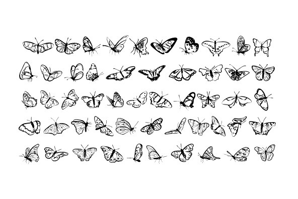 Borboleta Borboleta