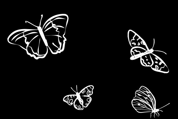 Borboleta Borboleta