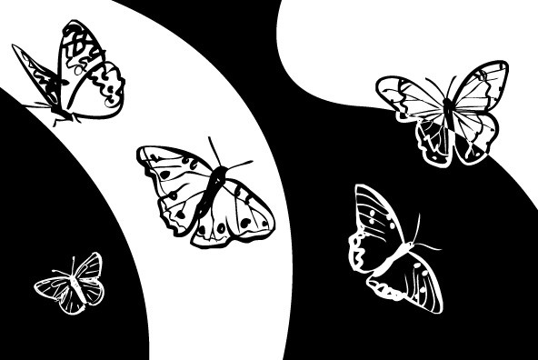 Borboleta Borboleta