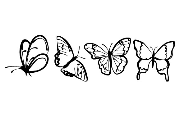 Borboleta Borboleta