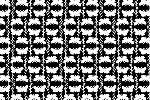 Butterfly Effect Butterfly Effect