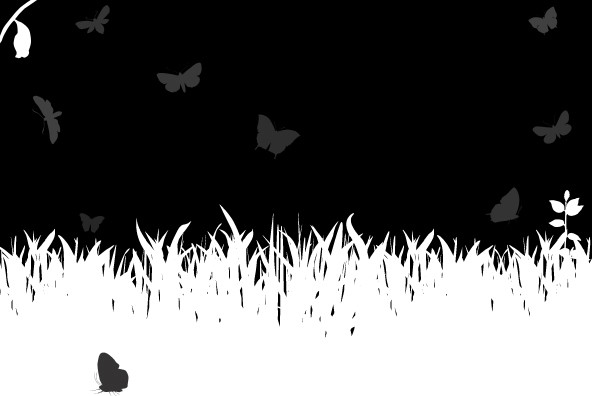 Butterfly Effect Butterfly Effect