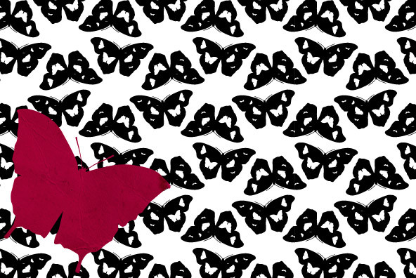 Butterfly Effect Butterfly Effect