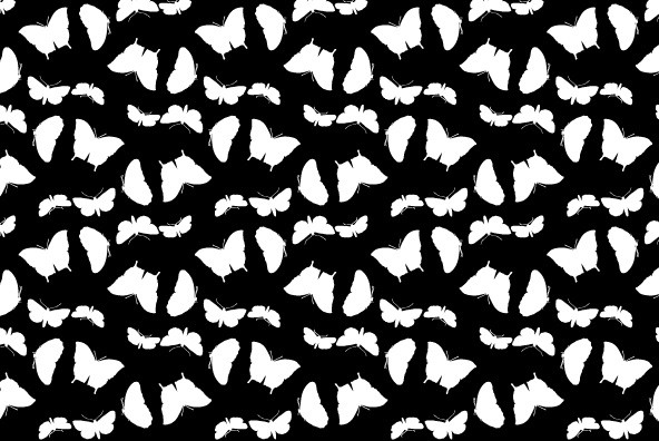 Butterfly Effect Butterfly Effect