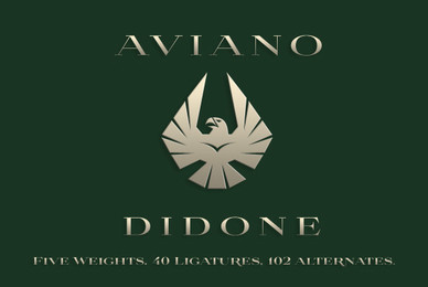 Aviano Didone