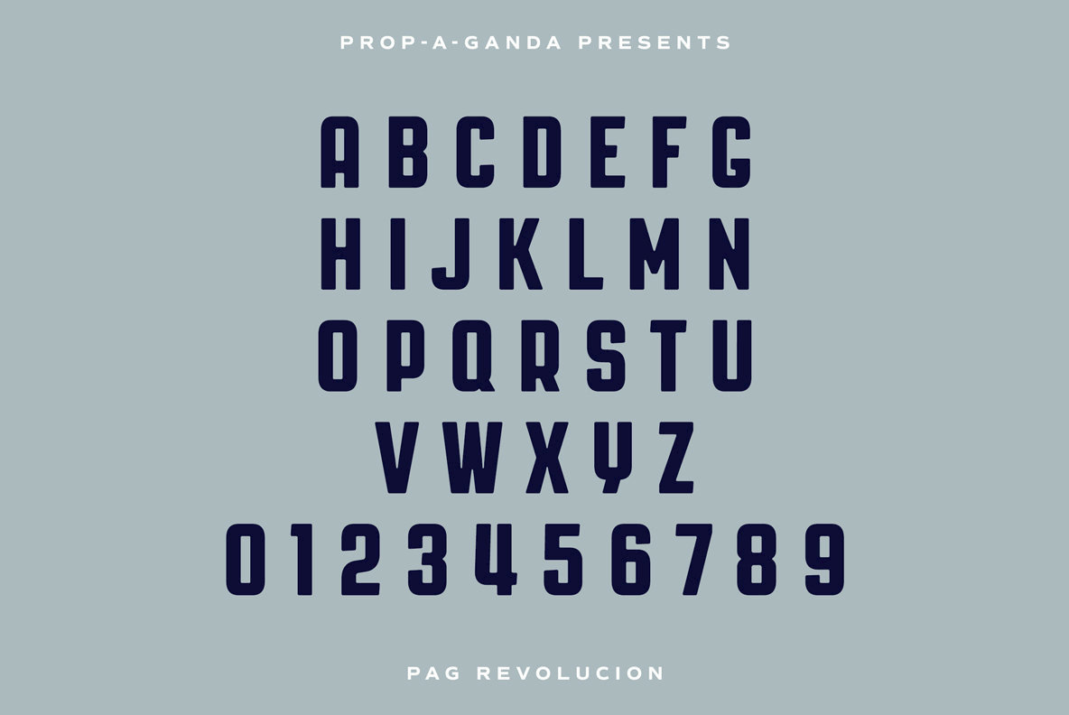 PAG Revolucion PAG Revolucion