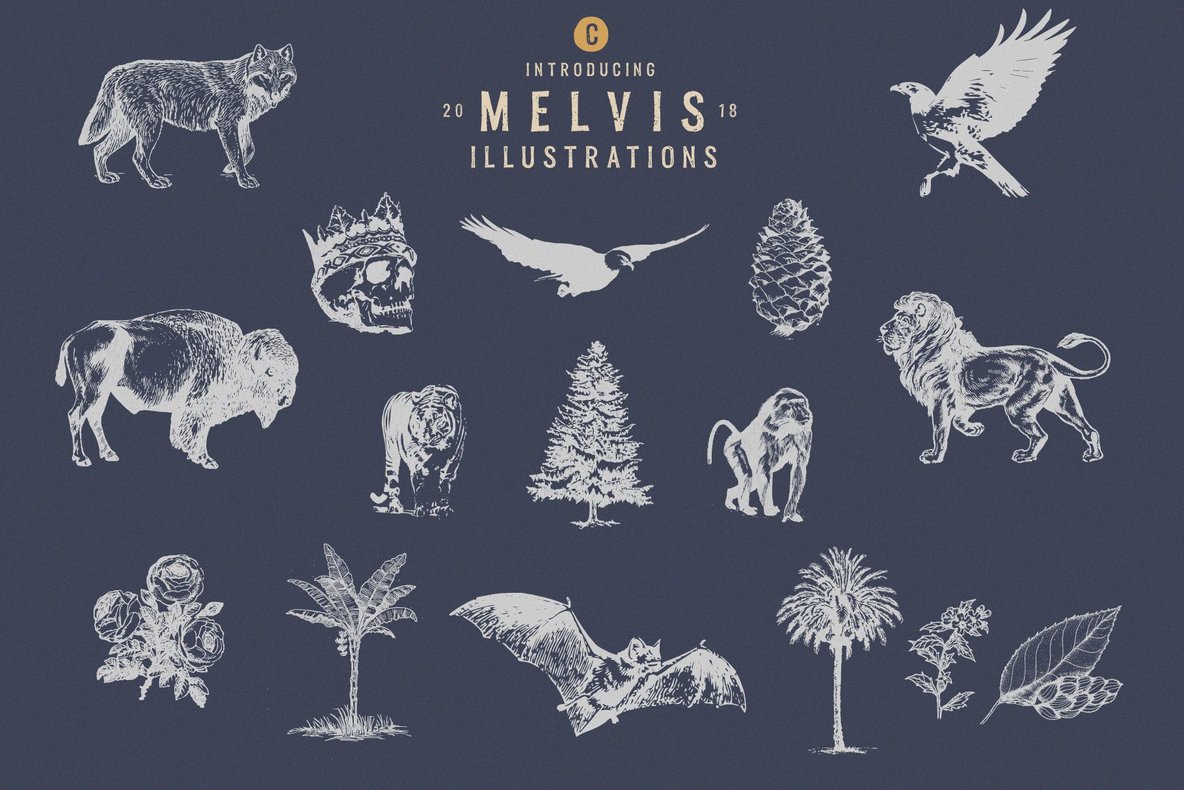 Melvis Font Family and Extras Melvis Font Family and Extras