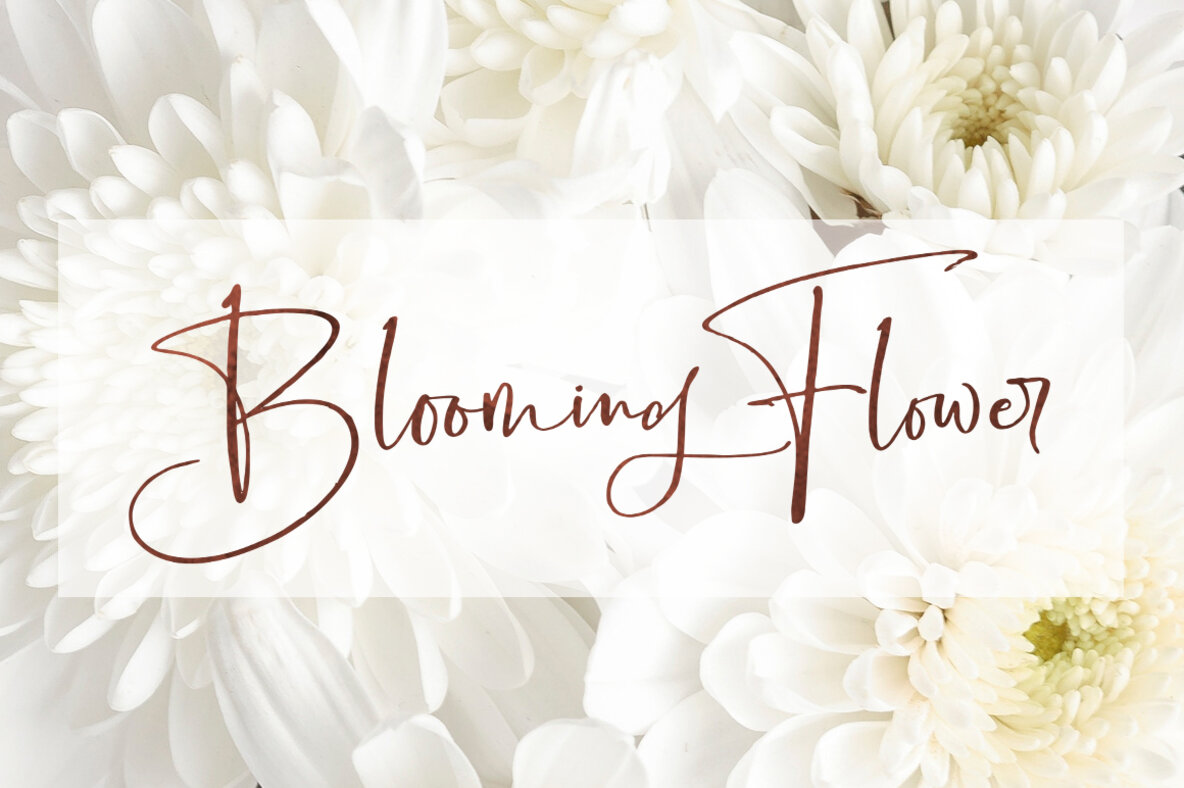 Boisterous Signature Script 19