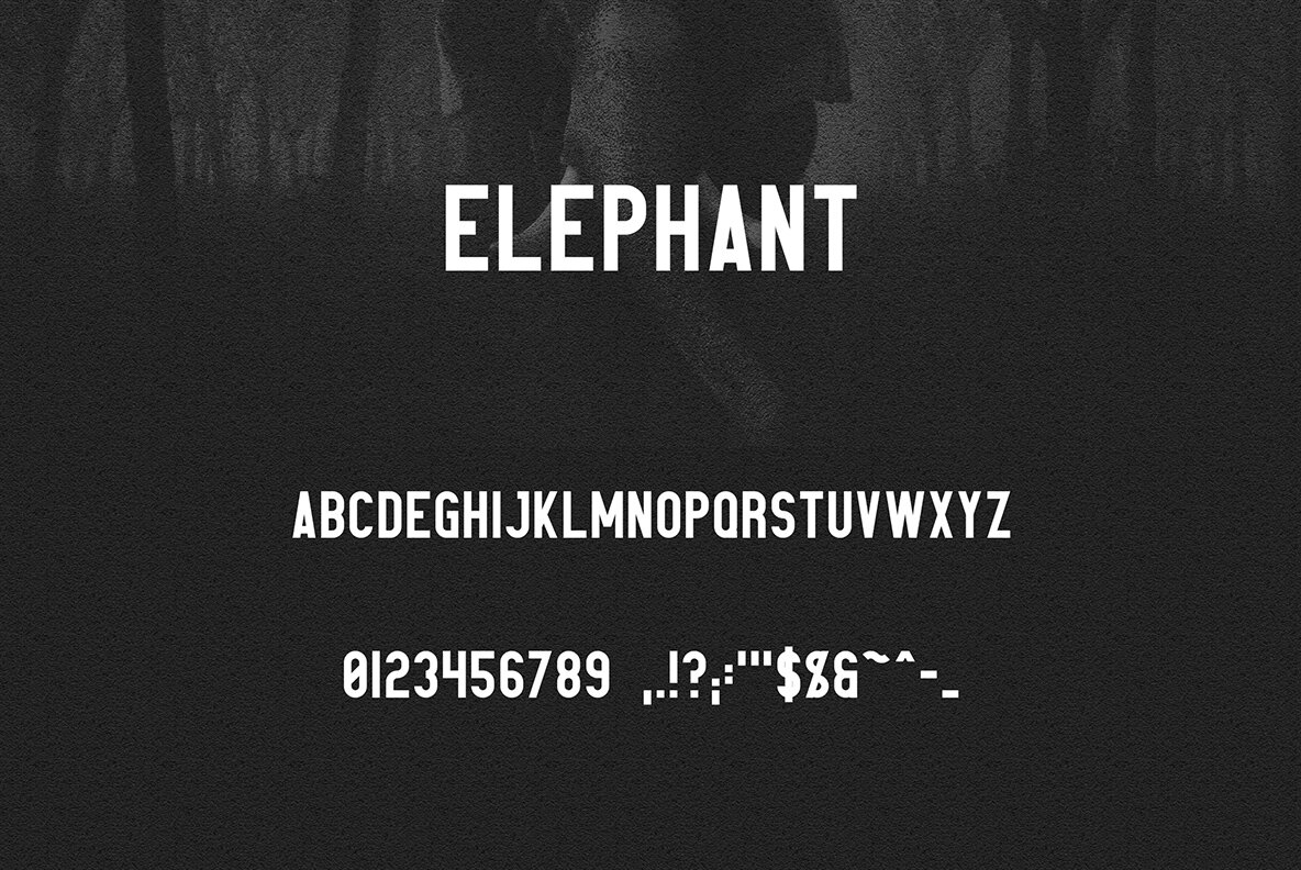 Elephant 8