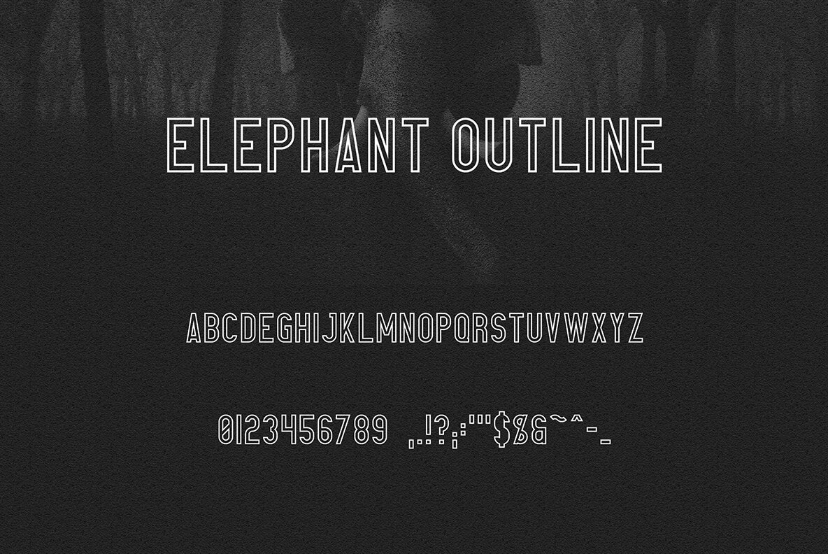 Elephant 11