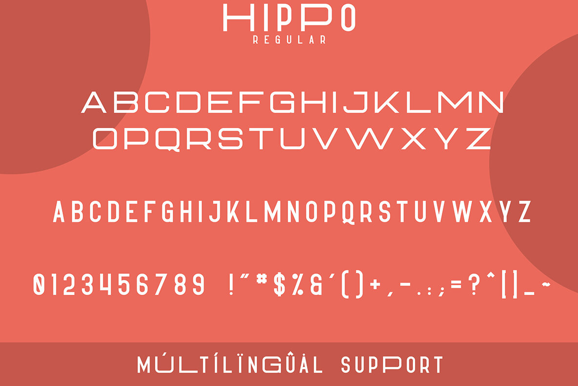 Hippo Sans Serif 7