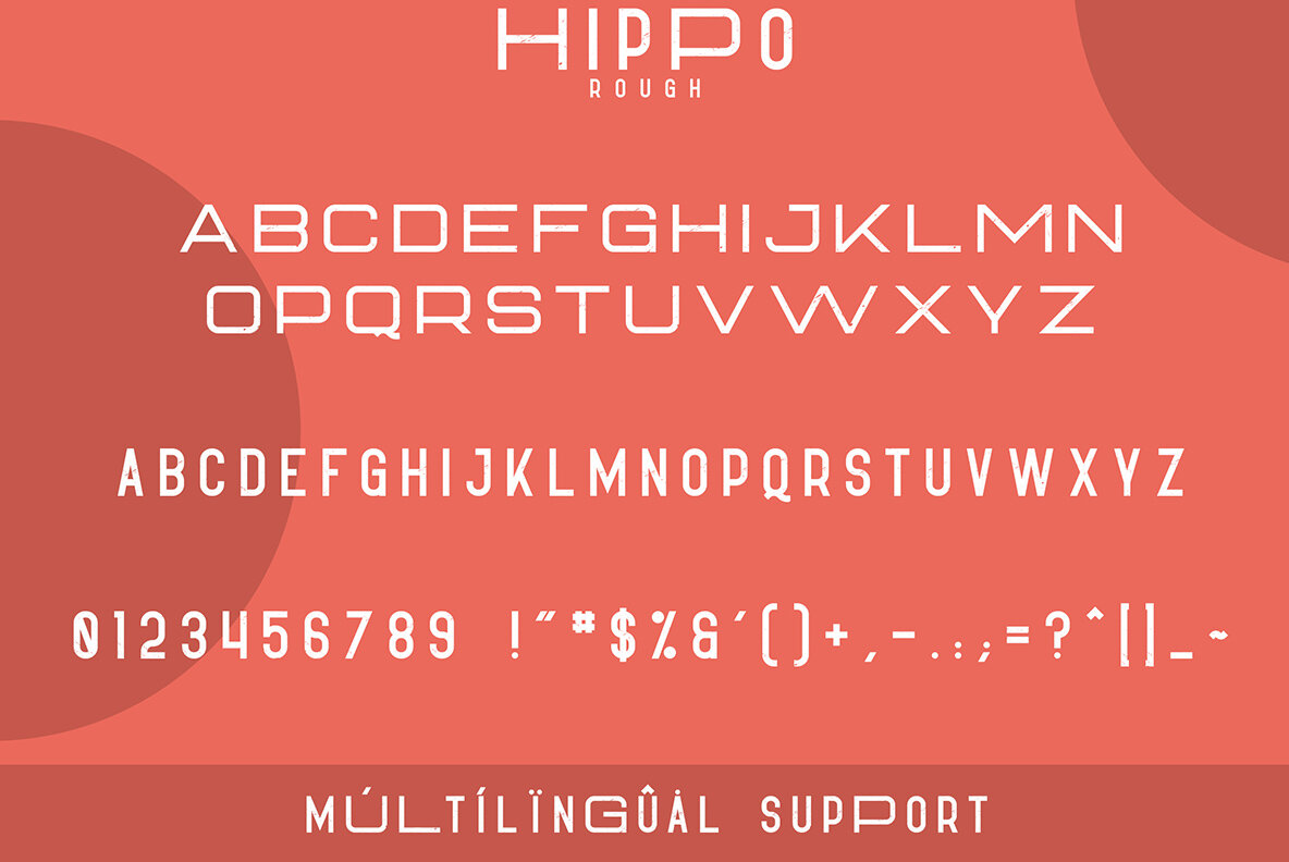 Hippo Sans Serif 9