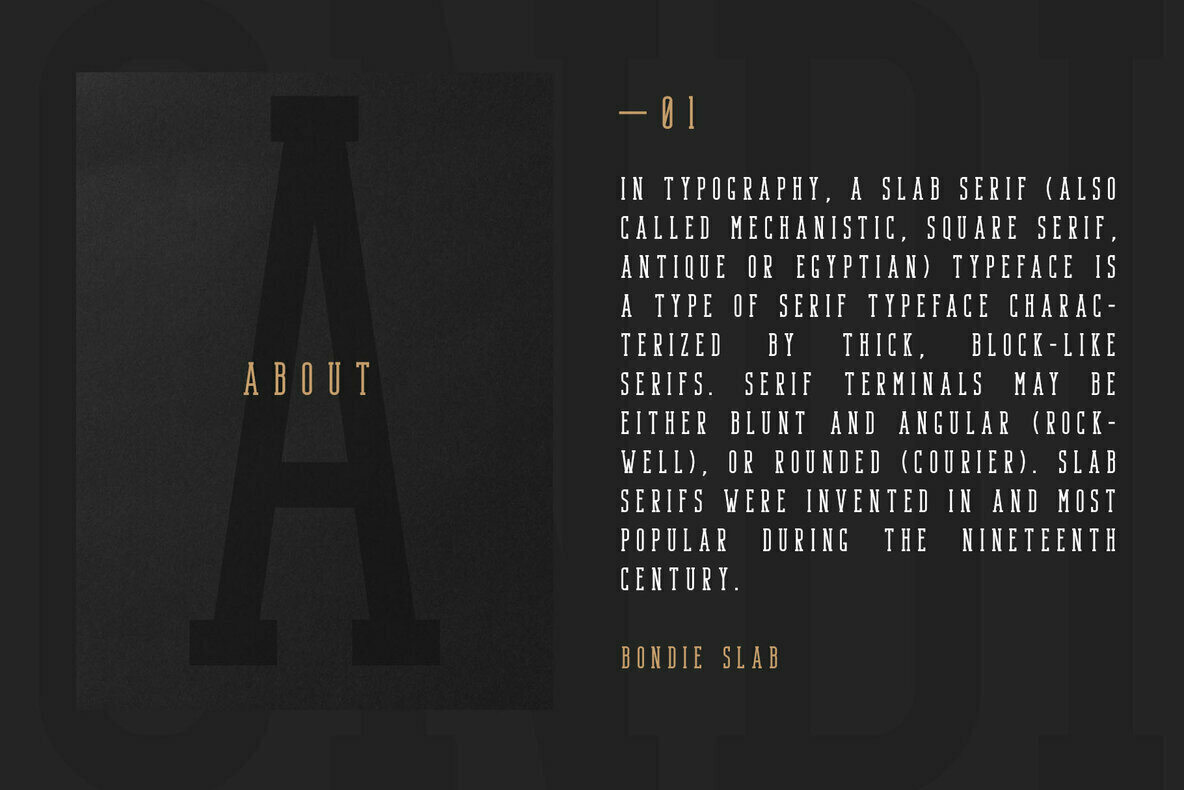 Bondie   Condensed Slab Serif 2
